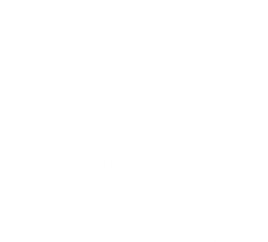 Fun and Food
